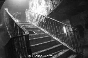 Staircase inside the Karwela, Gozo
Converted to black & ... by Elaine White 